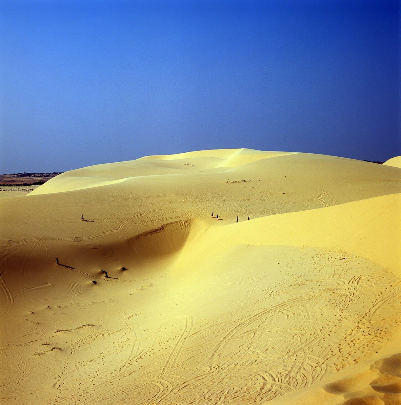 호치민/무이네 풍경